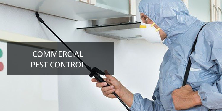 Commercial Pest Control Service In Australia