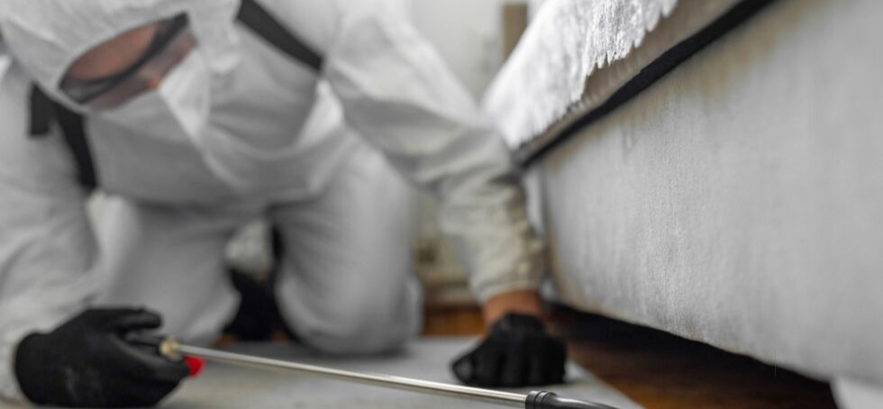 Safeguard your space today and keep your home pest-free