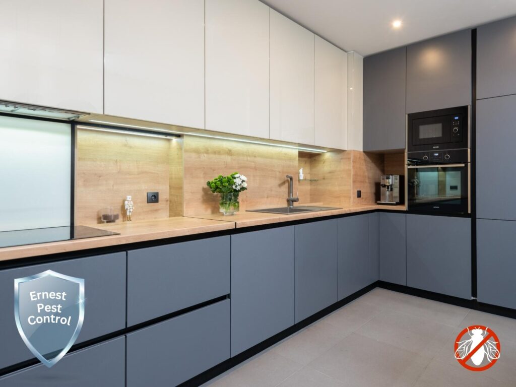 The Ultimate Guide to Reliable and Affordable Pest Control Services: Choose Ernest Pest Control for Effective Solutions in Sydney
