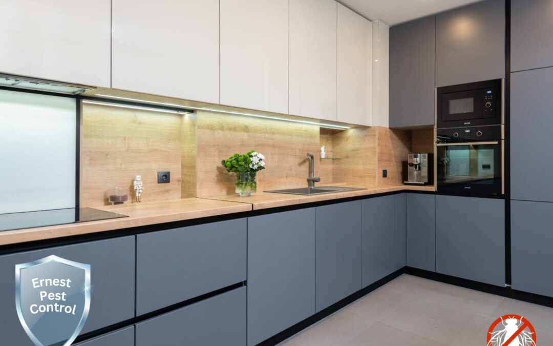 The Ultimate Guide to Reliable and Affordable Pest Control Services: Choose Ernest Pest Control for Effective Solutions in Sydney