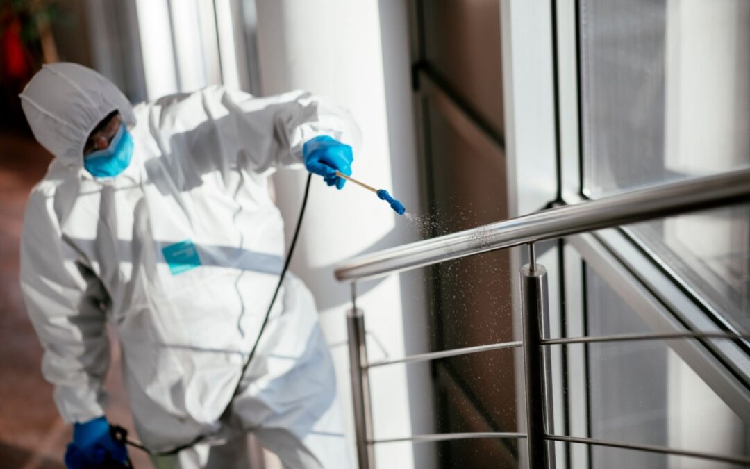 Mastering the Art of Pest Control: Protecting Health, Property, and Ecosystems