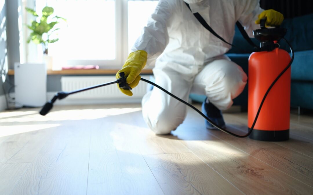The Vital Importance of Pest Control: Safeguarding Your Health, Home, and Environment