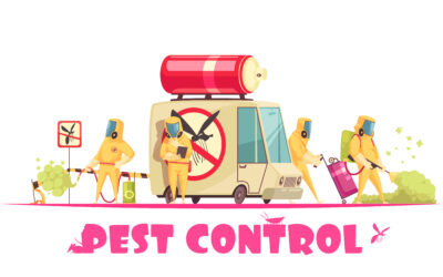 Mastering Pest Control: Strategies for a Healthy, Harmonious Home