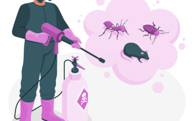 Mastering Pest Control: Strategies for a Healthy, Harmonious Home