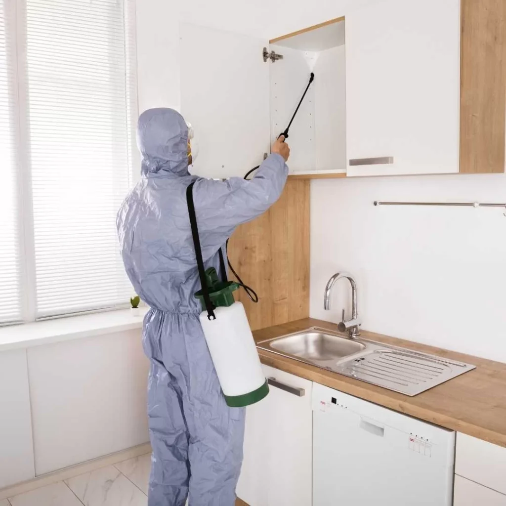 Summer Pest Control: Tips & Solutions by Ernest Pest Control