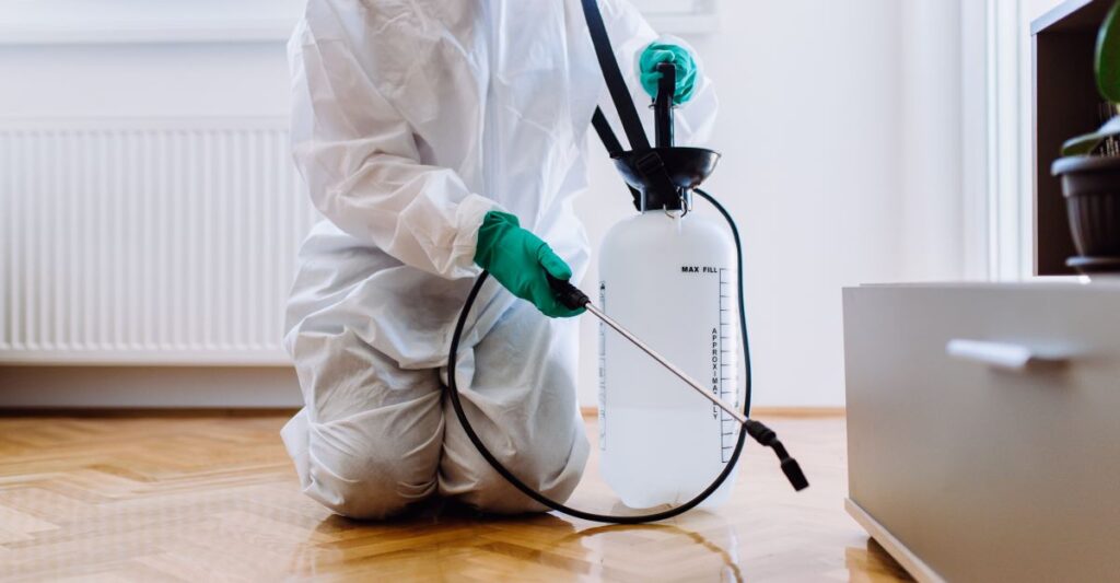 Defending Your Home: Battling Summer Pests with Ernest Pest Control