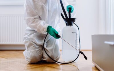 Defending Your Home: Battling Summer Pests with Ernest Pest Control