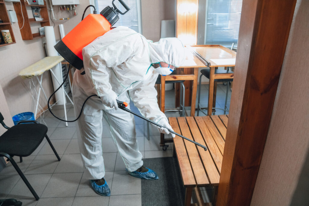 Ernest Pest Control: Your Trusted Solution for Pest Management in Australia