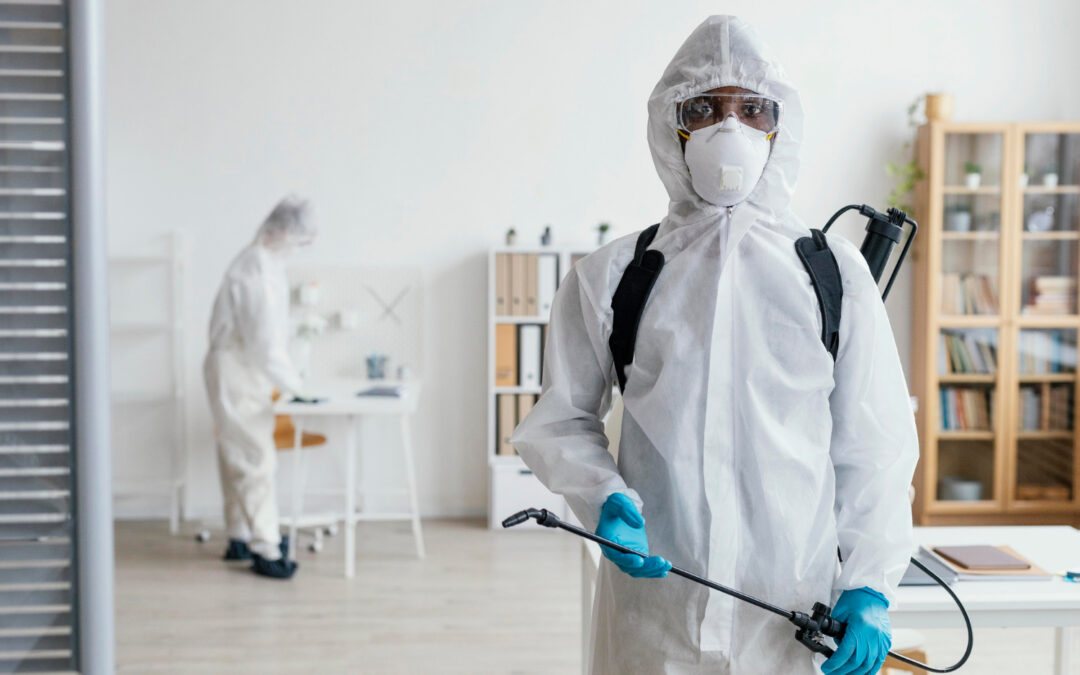 Say Goodbye to Pests: A Guide to Choosing Reliable Pest Control Services