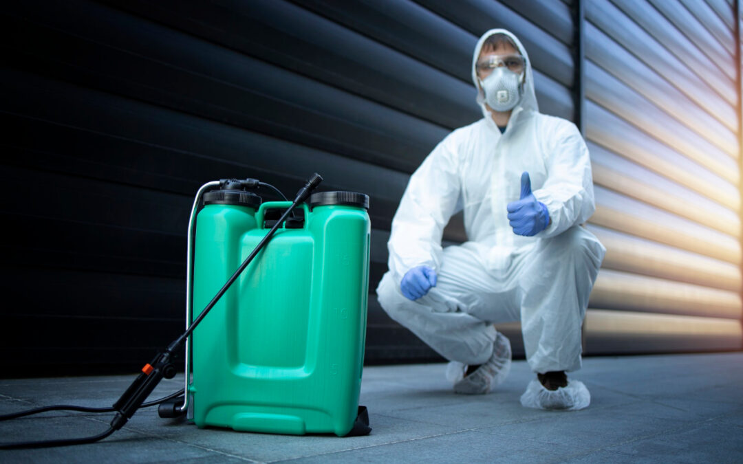 Say Goodbye to Unwanted Guests: How to Choose the Best Pest Control Services in Sydney